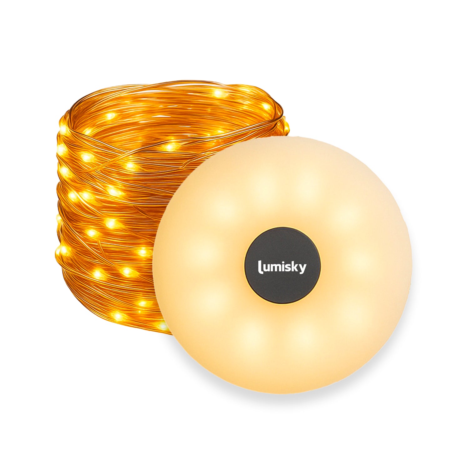 Guirlande lumineuse d'extérieur portable et rechargeable 2 en 1 LED blanc chaud 10M ROLY