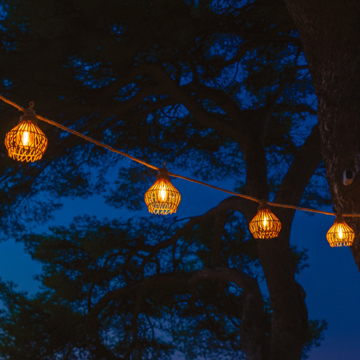 Guirlande solaire ROTILIA 20 LED 13M