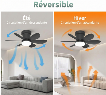 Ventilateur de Plafond 52cm avec Lampe LED MISTRAL Petit Ventilateur Silencieux Chambre Enfant Bureau Cuisine Moteur DC Basse Consommation Réversible Ete Hiver avec Telecommande Noir