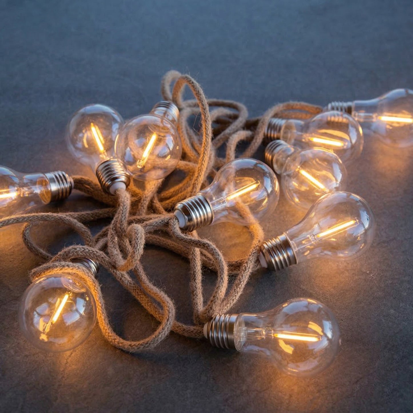 Guirlande lumineuse extérieur en corde 10 ampoules filament transparentes LED blanc chaud FANTASY CORD 7.70m