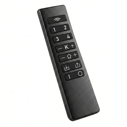 Télécommande REMOTE CONTROL Ubiqua H16 cm