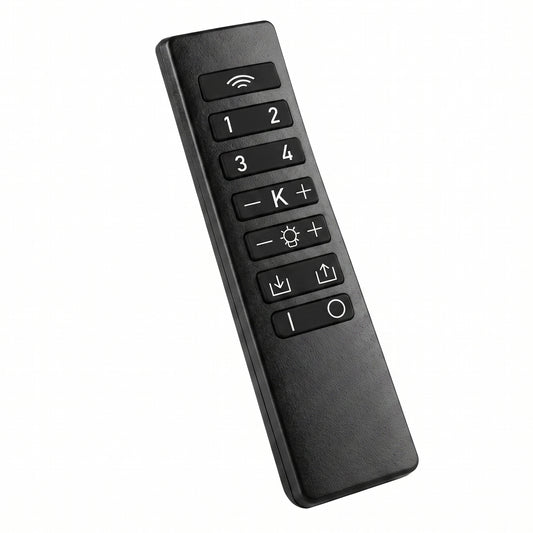 Télécommande REMOTE CONTROL Ubiqua H16 cm